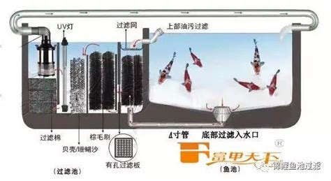 魚池過濾設計